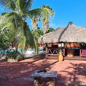 Bed & Breakfast Woodstock Palmresort Curacao 