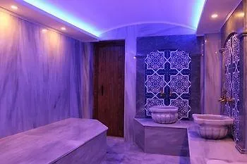 ***  Milano Hotel & Spa Sultanahmet Стамбул Турция